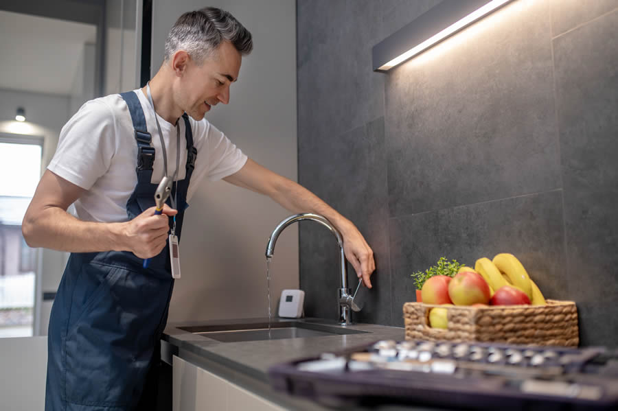 Faucet & Kitchen Sink