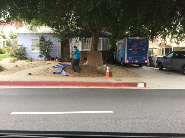 Sewer Repair in Studio City, CA